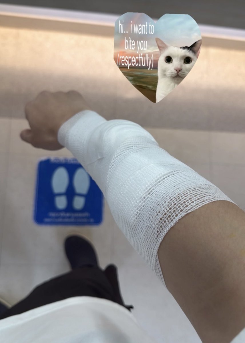 ค่อยเบาใจ มุหาหมอแล้ว เนื้อหอมก็งี้แหละ แงงงหายไว ๆ น้าา ห่วงจัง🖤

#Meennicha8