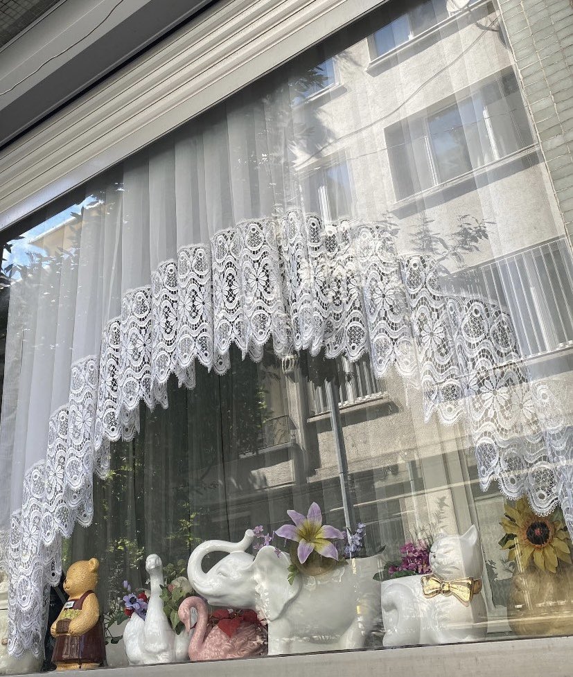 eva ୨ৎ dwy tweet media