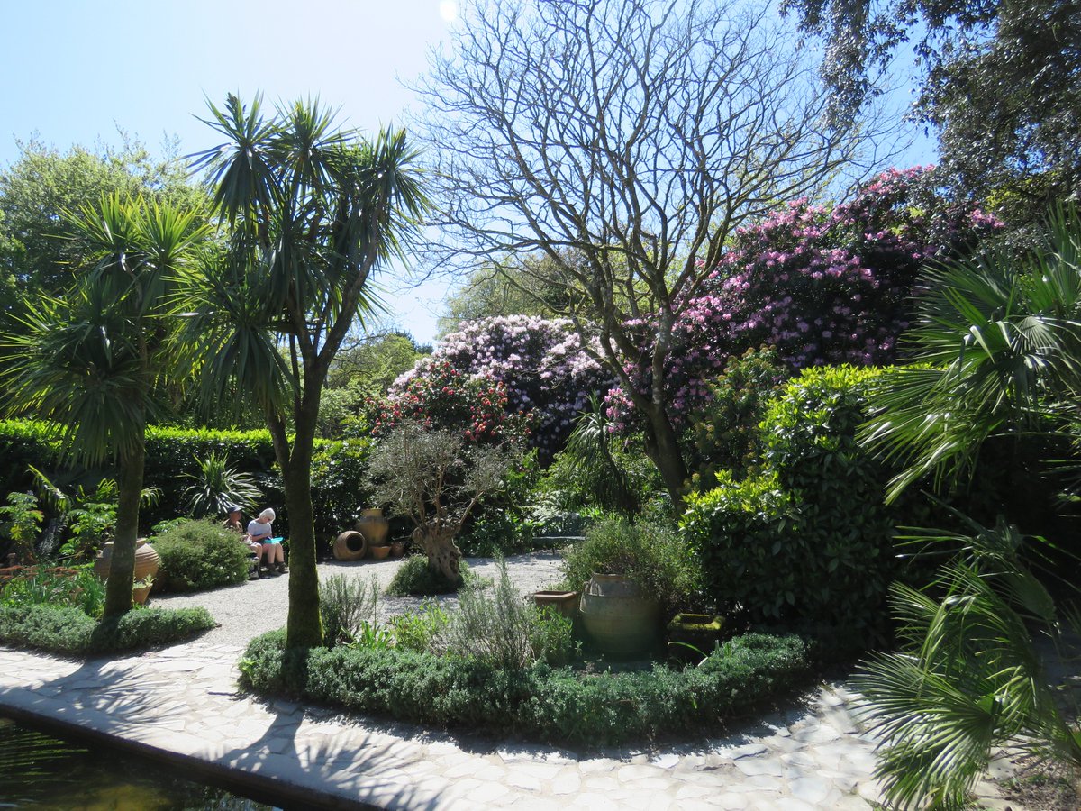 SewCornish's tweet photo. What a stunning day to visit @HeliganGardens. #Lowarnes #Heligan #Cornwalldaysout #Springsunshine https://t.co/l8VZD3r7Oe