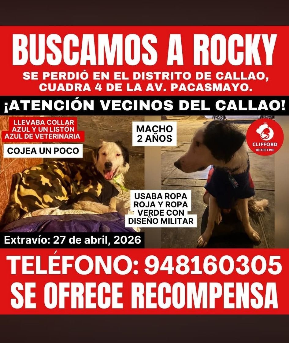 Callao Noticias tweet media