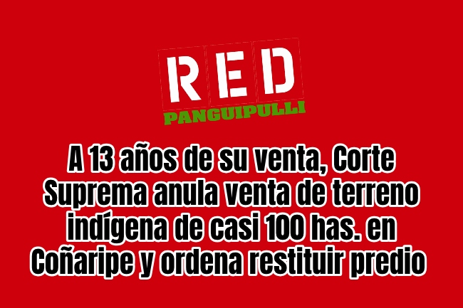 RedPanguipulli tweet media