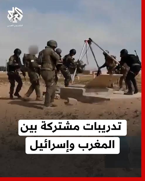 M.Samy 🇸🇩🇪🇬🇵🇸 tweet media