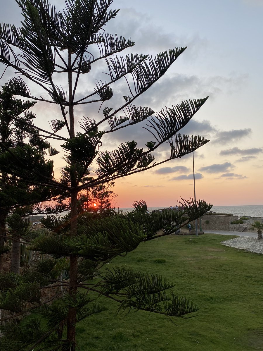 ريحانة🇵🇸 tweet media