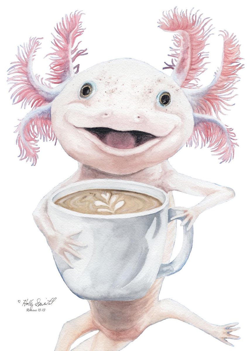 HollySimental's tweet image. Axolatte signed giclee prints on sale now in my #etsy shop! mamakikis.etsy.com/listing/181002… #axolotl #animal #coffee #coffeeshop #coffeelover #coffeeaholic #animal #gift #giftideas #gifts #giftshop #art #artwork #artist #whimsical #animalart #painting #hollysimental