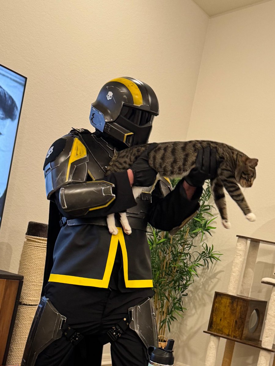 Helldivers NOW tweet media