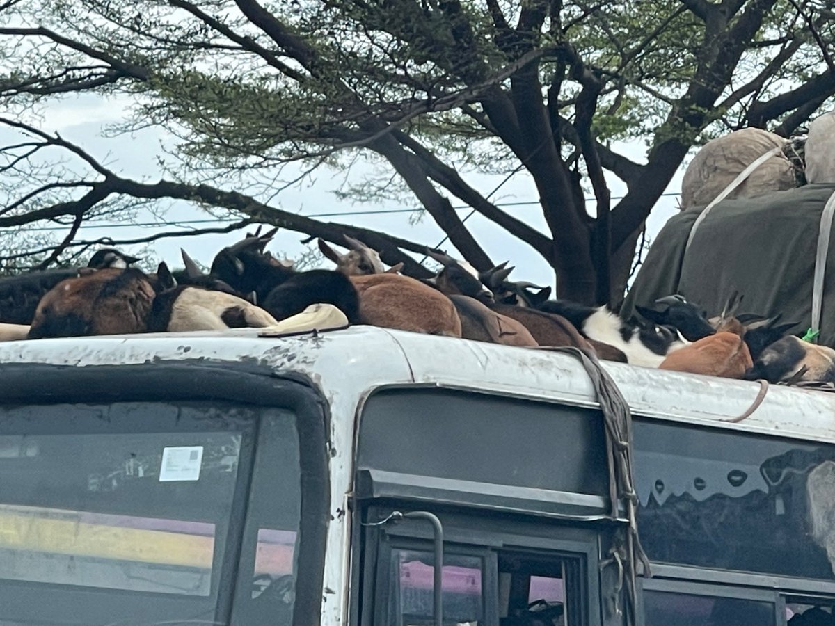 Hidetoshi OGAWA Ambassadeur du Japon en RDC et RC tweet media