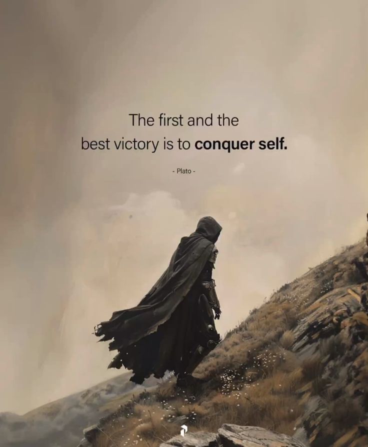Daily Knight tweet media