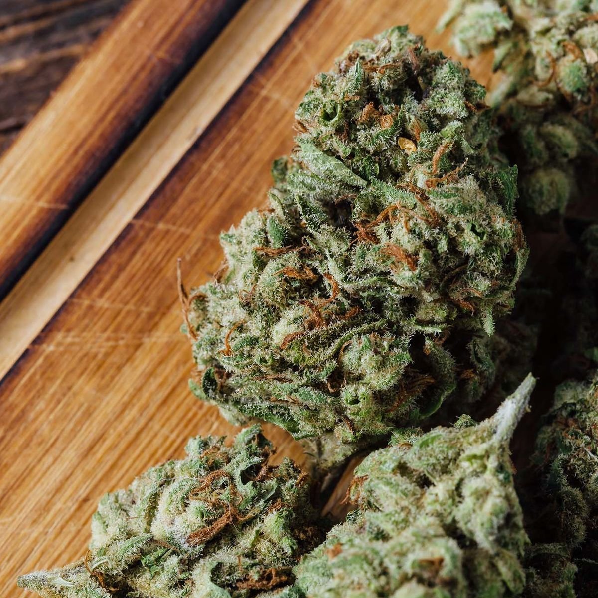 InternetH0F's tweet image. 22 Buddhist monks were detained earlier today for smuggling 243 lbs (110 kg) of weed through a Sri Lankan airport