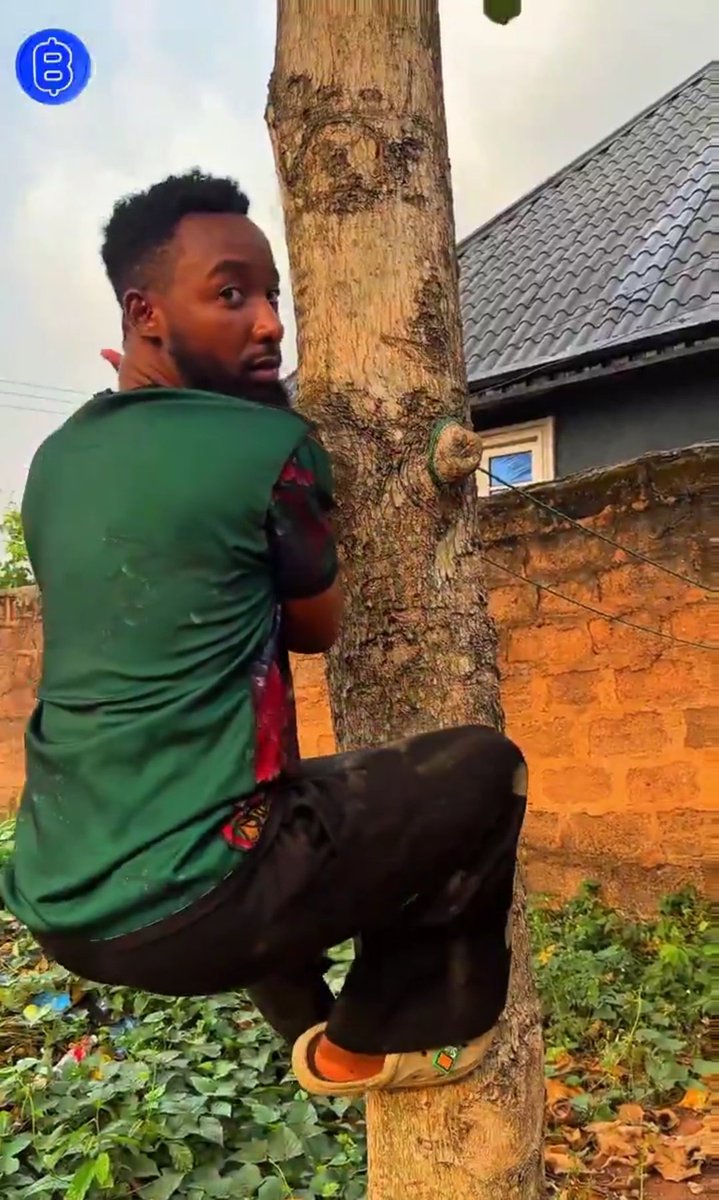 DIGITEK 👑🇬🇧 tweet media