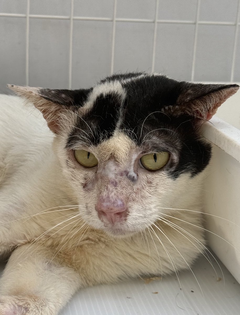 DNVP 💋 (Malonfamily) tweet media