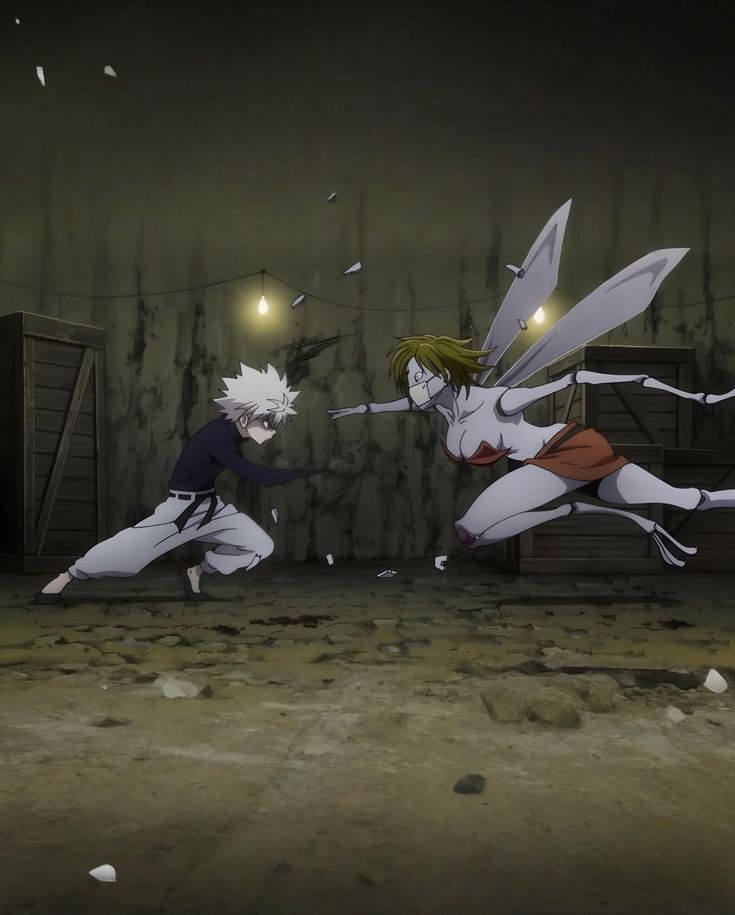 Hunter x Hunter (@hxhvizuals) on Twitter photo 