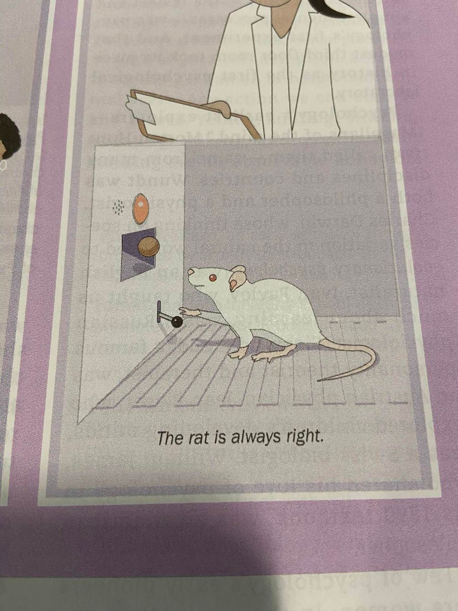 finally they put the rat in a good situation