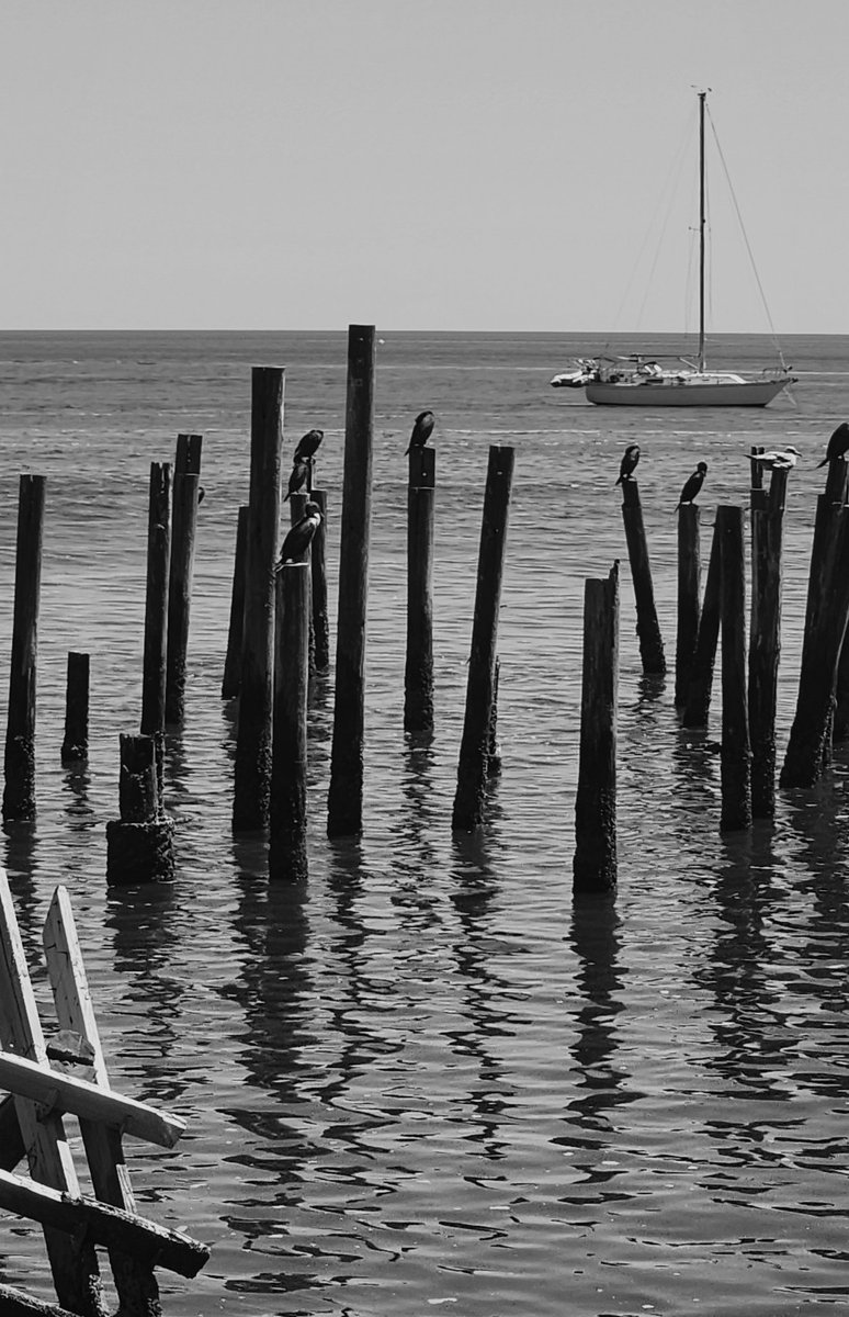 Old and Two tweet media