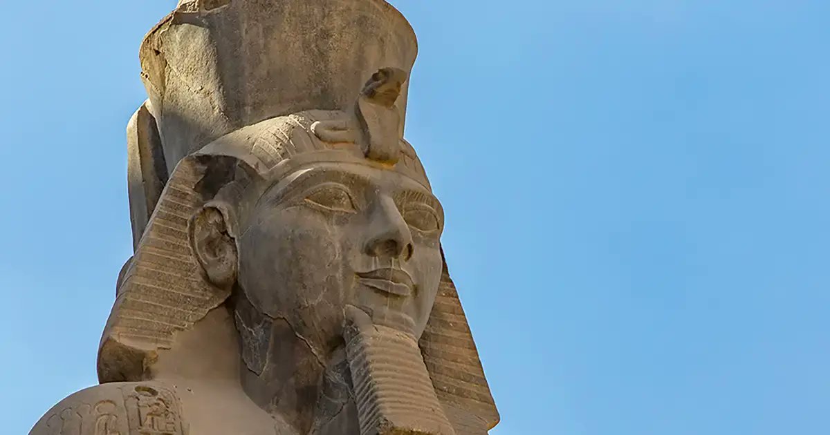 Historia National Geographic tweet media