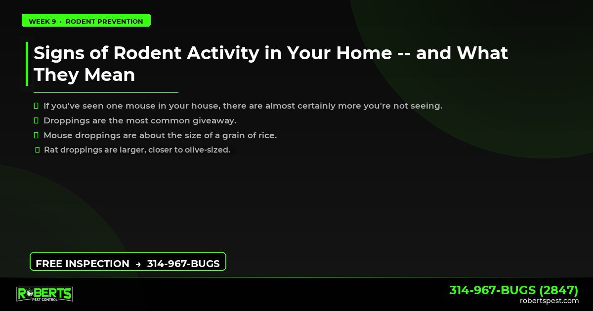 Robertspest's tweet photo. Signs of Rodent Activity in Your Home and What They Mean
If you've seen one mouse in your house, there are almost certainly more you're not seeing.
314-967-BUGS | https://t.co/kqi2yyVGoS
#RodentControl #MouseControl #BUGSSTL https://t.co/BgvtLxz1Bl