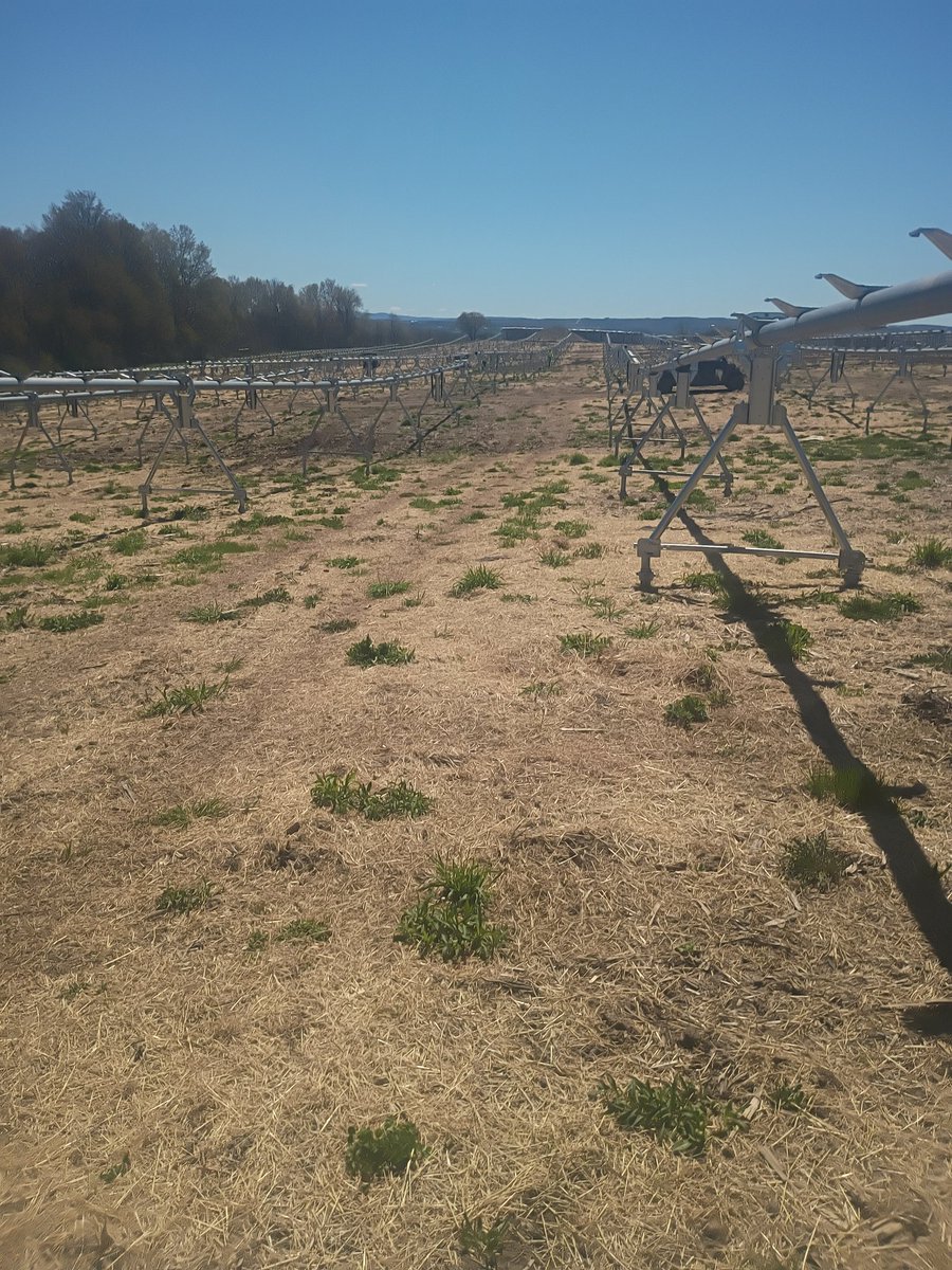 JussSumGuy tweet media