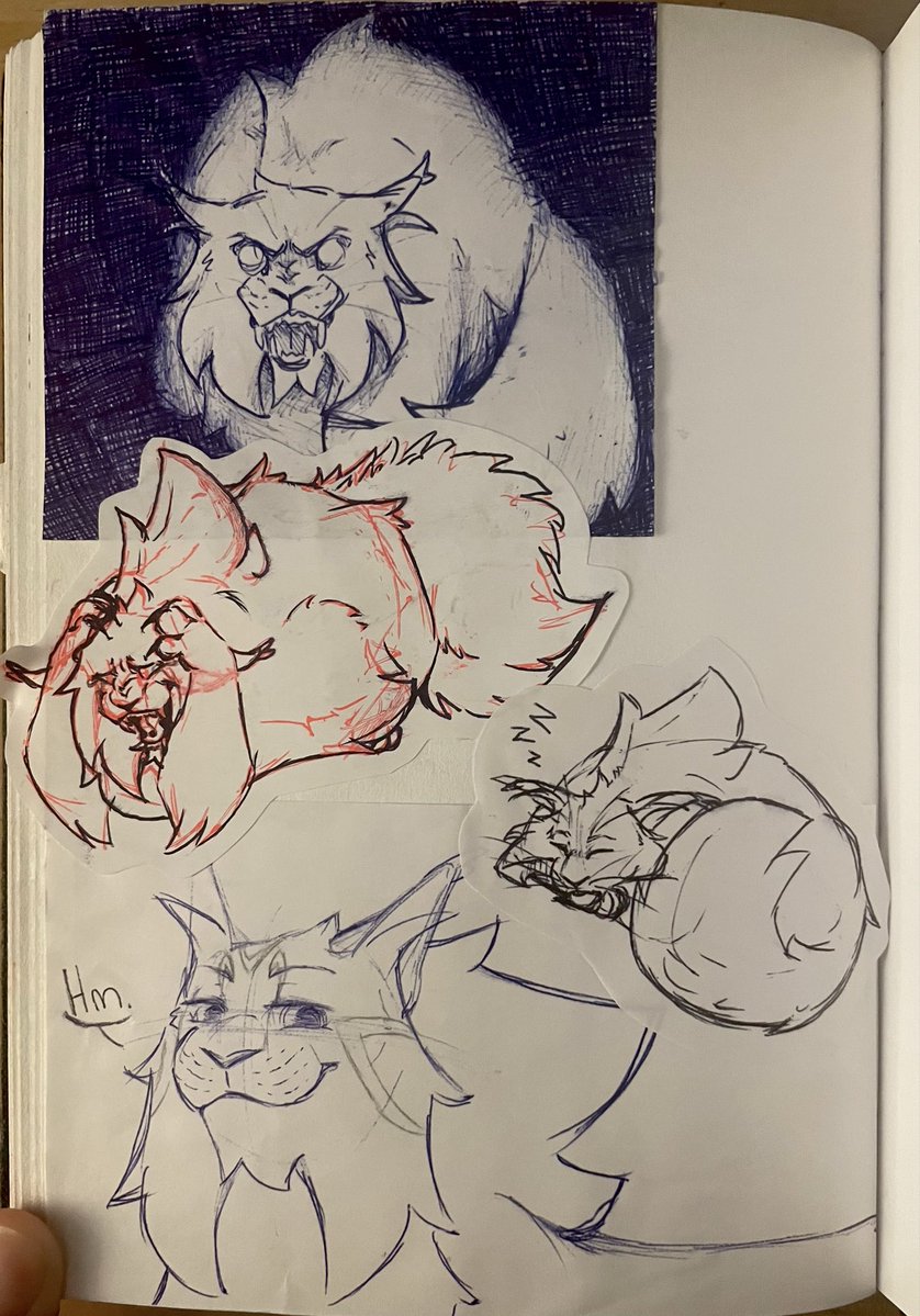 KaijuMutt's tweet image. Gingersnap Sketch Dumpppp🧡🩵

A little more info about my big fluffy cult leader (just a little. as a treat)

#oc #warriorcats #warriorcatsoc #au #lore #originalcharacter #characterdesign #catoc #penart #sketch #sketchbook