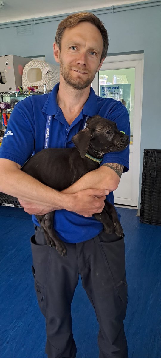 8 puppies rescued today from
Incredibly poor conditions. 
Large Cane Corso type dogs that have had to struggle and compete for little food and water provision. Now safe 🐶👍