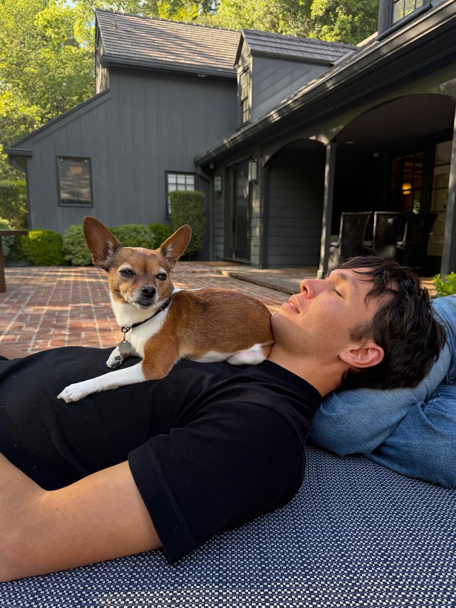 Alex Albon tweet media