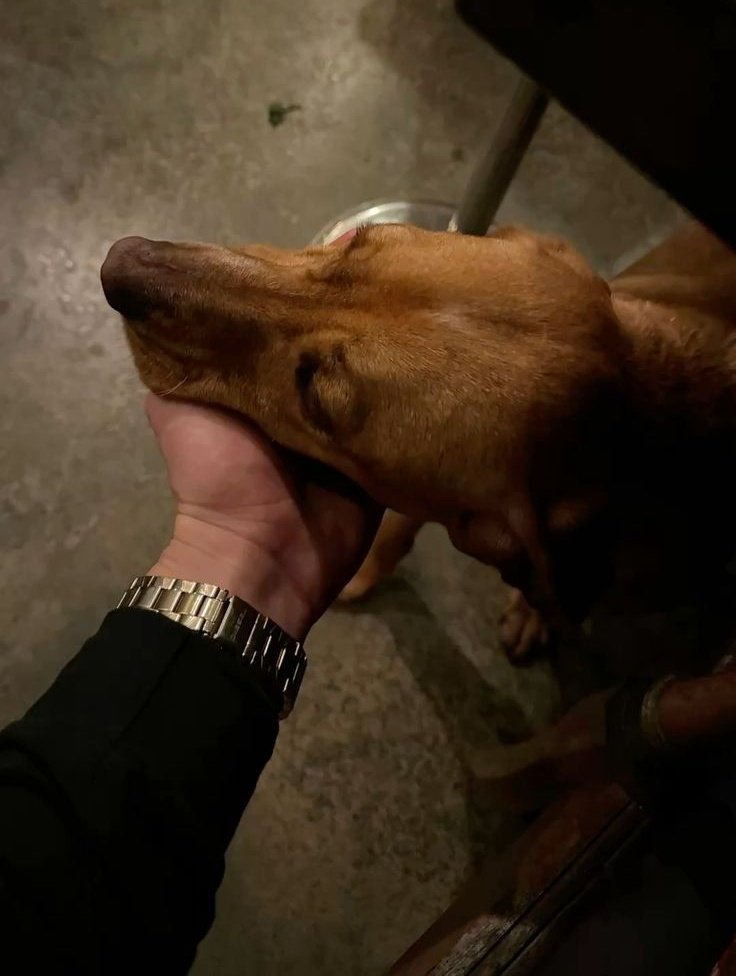 Leonard Miller tweet media