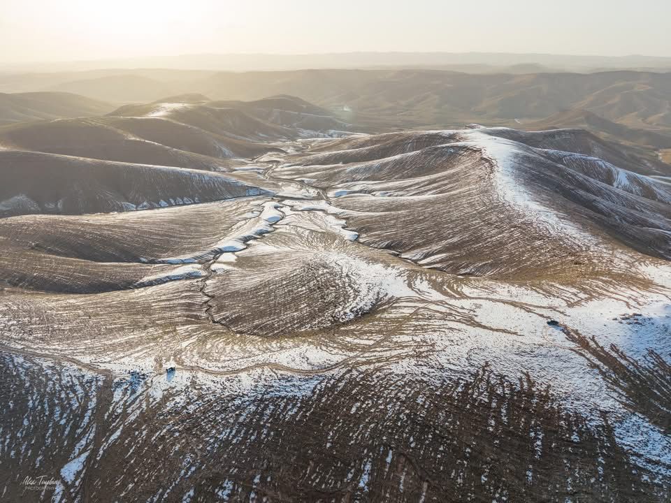 ilana curiel tweet media