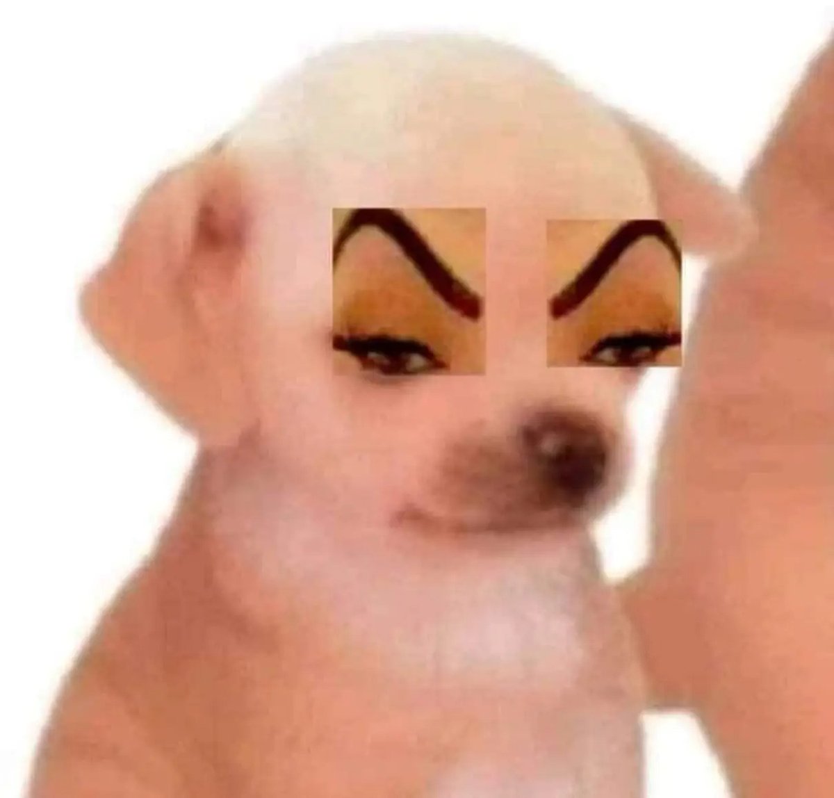 La Michi 🐦 tweet media