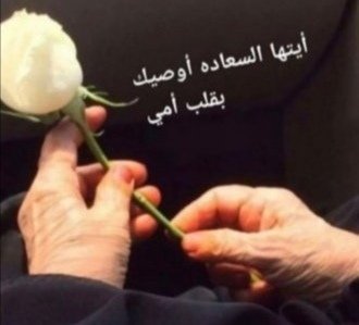 🌹 أمي🌹 tweet media