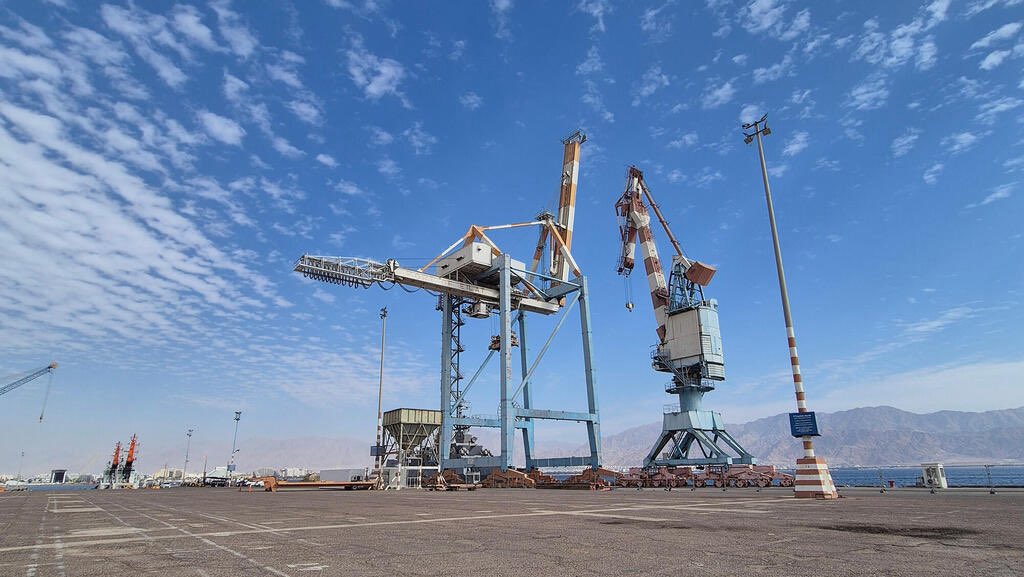 Wesam Afifa وسام عفيفة tweet media