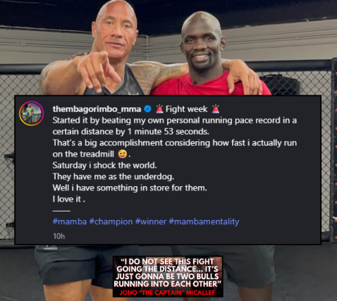 Finz Chats MMA tweet media