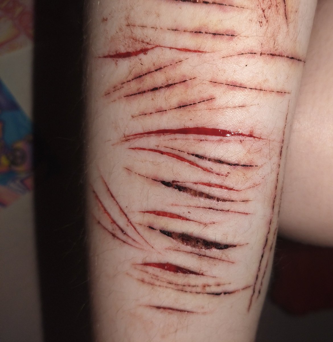 ~\\+badware of shedtwt+//~ tweet media