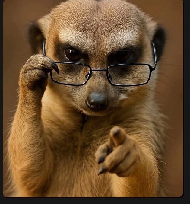 SESKO’VICKY tweet media