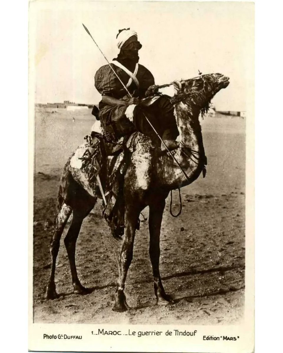 🇲🇦👑 Tsuga 🕵️ ⵜⵙⵓⴳⴰ 🇲🇦👑🌟🌟 tweet media