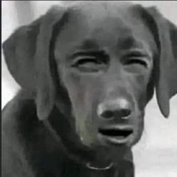 Med Abdallahi tweet media