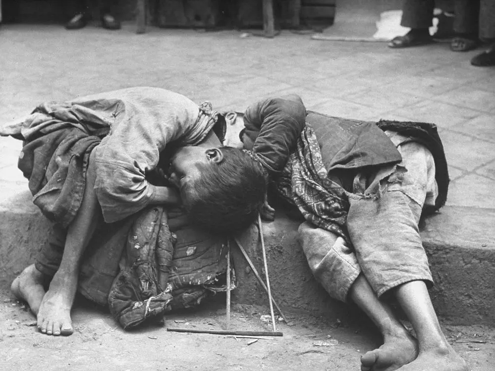 الخفاش الأبيض. tweet media