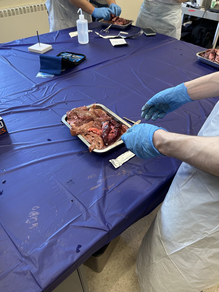 Playing with a little bit of mean in class today