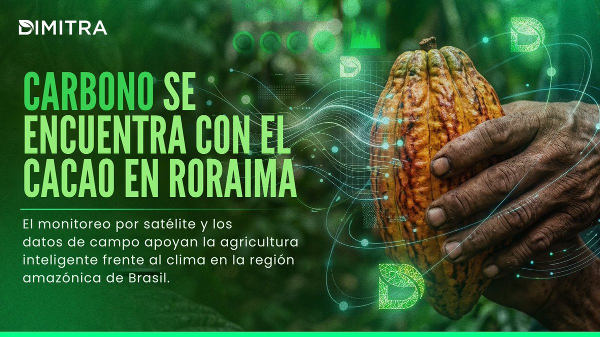 DimitraSpanish's tweet photo. 🌲Carbono se encuentra con el cacao en Roraima

En Roraima, Brasil, Dimitra apoya a los productores de cacao con imágenes satelitales y teledetección para monitorear las prácticas agrícolas y restaurar tierras degradadas.

Documentación de carbono y productividad agrícola, construidas sobre la misma infraestructura de datos.

#MercadosDeCarbono #Brasil #AgTech #DMTRenAcción
