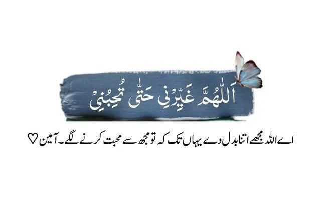 Shahzad Munir tweet media