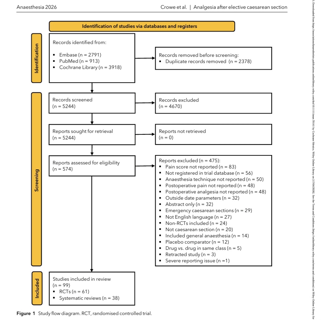 AnestesiologiaR's tweet image. Manejo del dolor después de una cesárea electiva bajo anestesia neuroaxial.

Anaesthesia 2026. 

doi.org/10.1111/anae.7…

#anaesthesia #anesthesiology #anestesia #cesarean #obstetrics #health #cesarea #pain #obstetricia