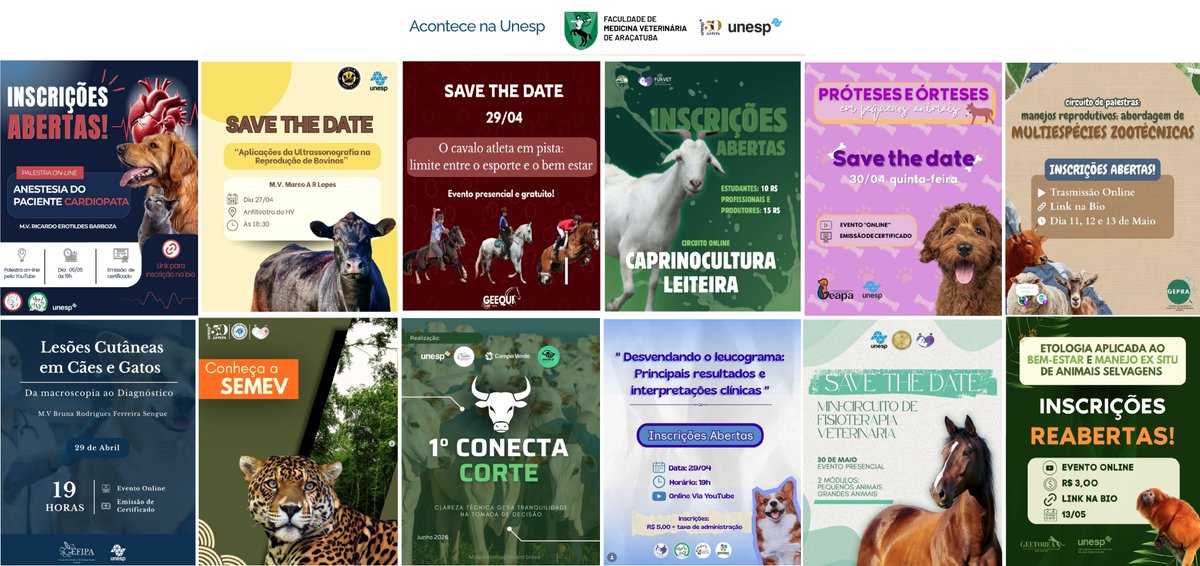 Faculdade de Medicina Veterinária Unesp Araçatuba tweet media