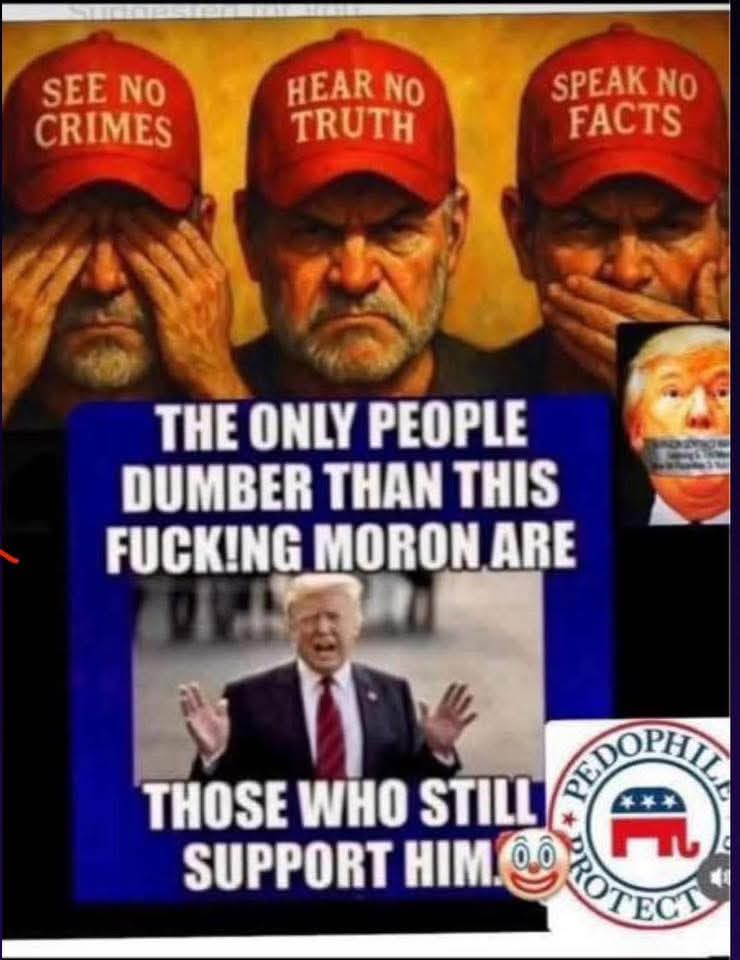 CatsMeow tweet media