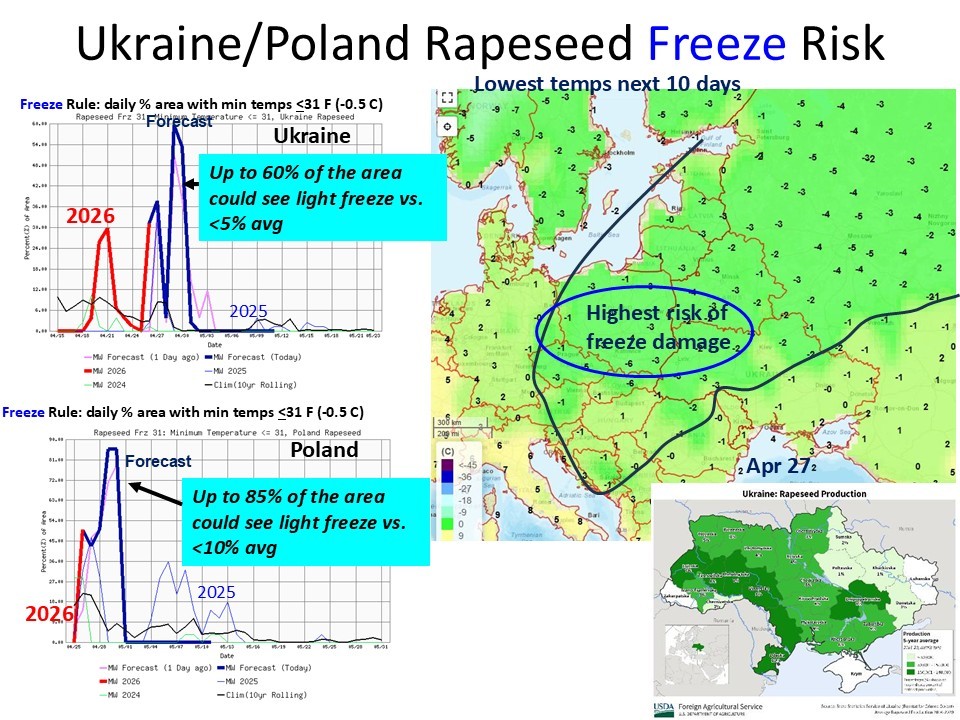 MarcusWeather1's tweet image. Black Sea/EU - Colder this week (colder on Apr 29-30 at -2 to -6C) with light freeze damage probably from e. Germany to s. Poland and w. Ukraine where flowering for rapeseed is underway. #EU #BlackSea #commodity #weather #rapeseed #freezerisk #weatherforecast
