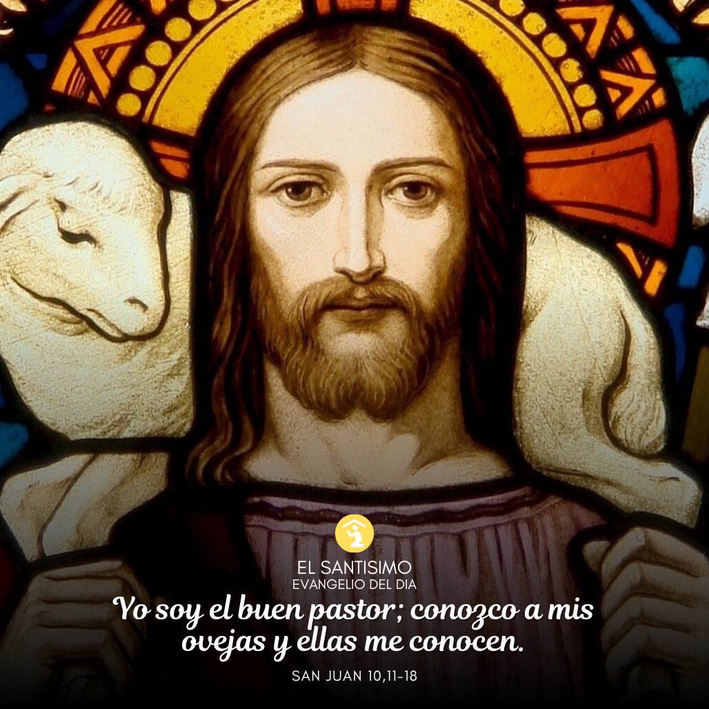 El Santísimo 🔆 Evangelio del Día: Yo soy el buen pastor; conozco a mis ovejas y ellas me conocen. beacons.page/elsantisimo