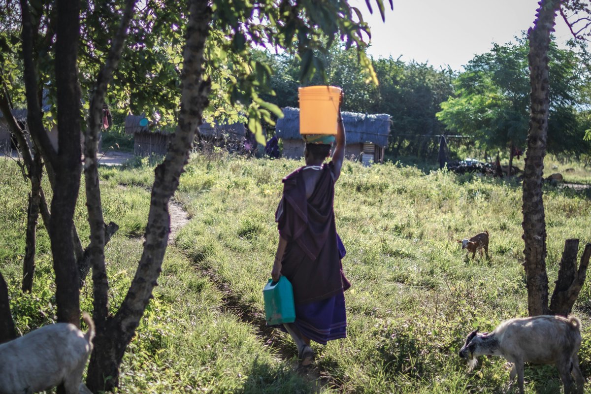 Africa Change Lab tweet media