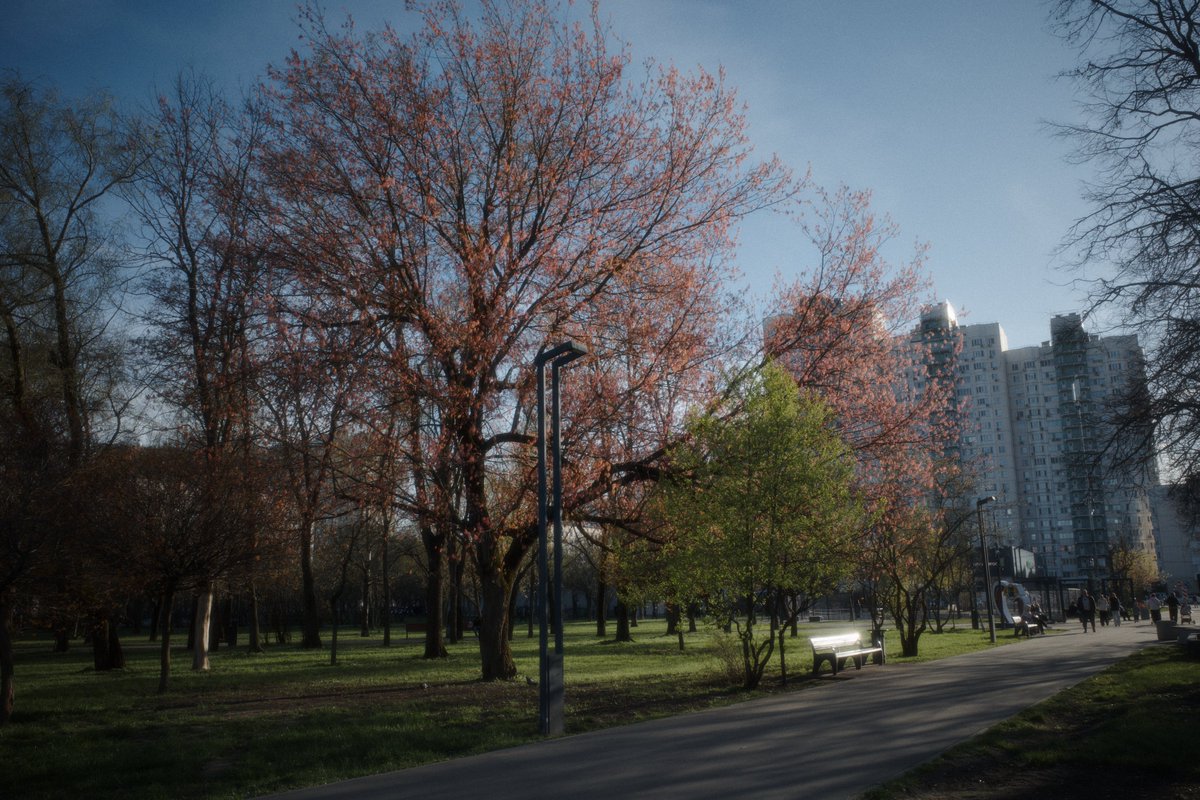 defocusd tweet media