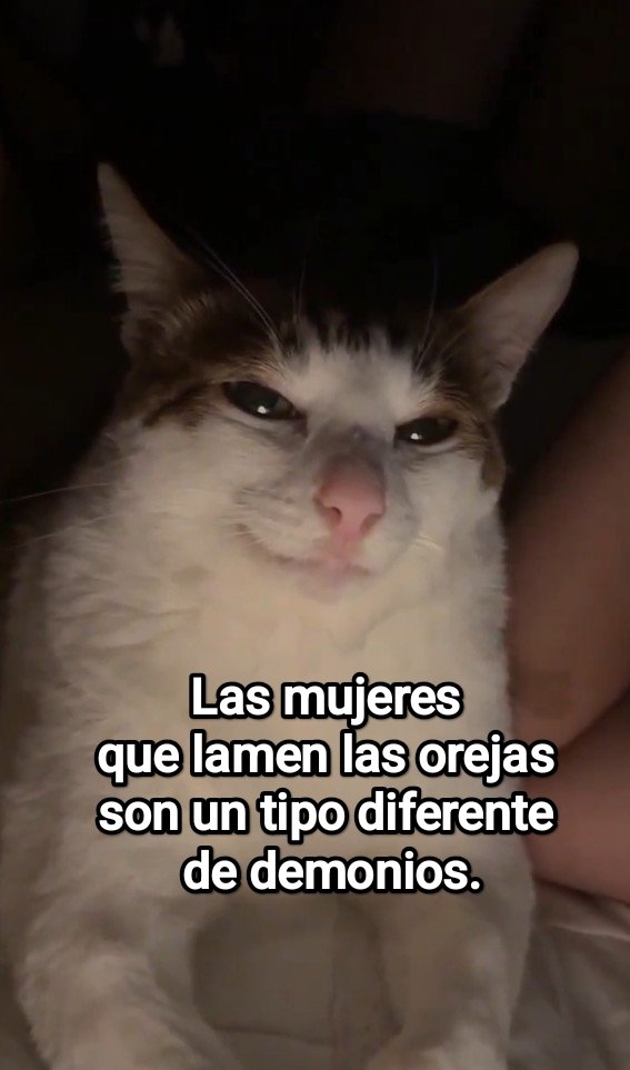 Cap Briagowsky tweet media