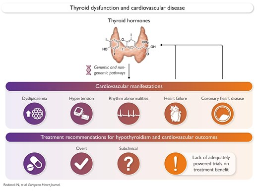 SeguraCardio's tweet image. 📌Thyroid dysfunction &amp;amp; cardiovascular disease

#StateOfTheArt #Review #EHJ
