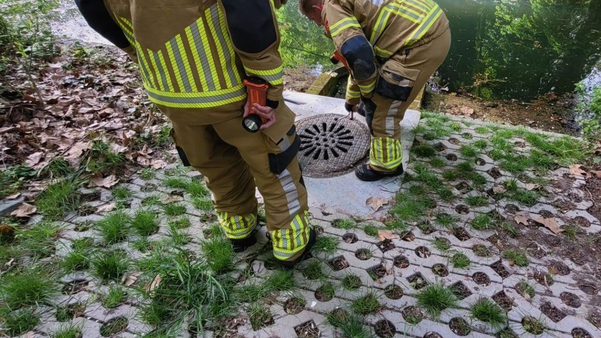 Brandweer redt meerkoet en kuikens uit put