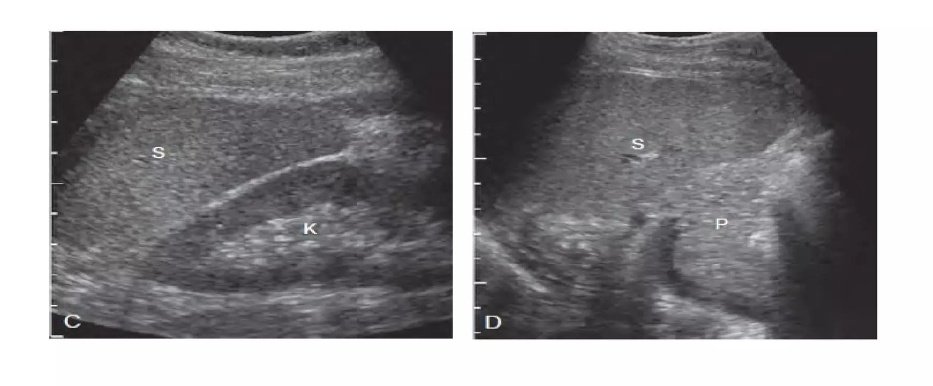 RadiographyNG☢️ tweet media