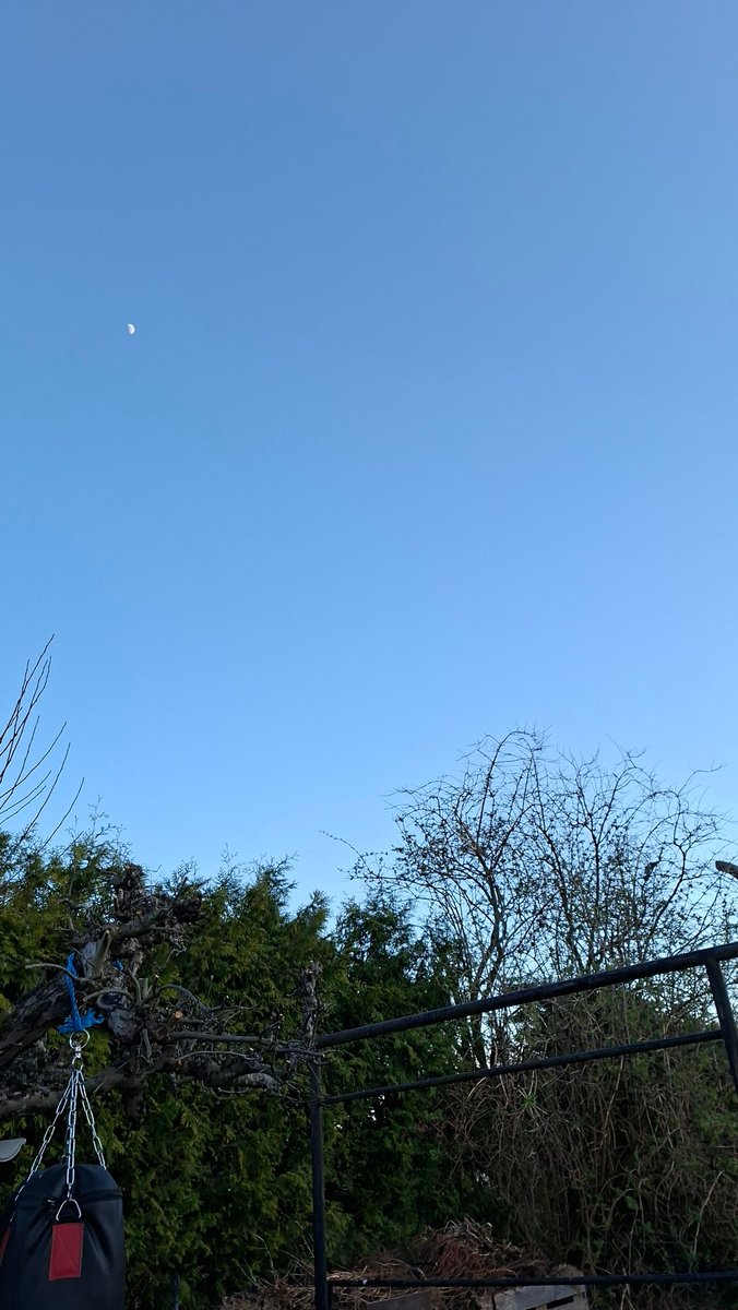 junkmanne's tweet image. #earth