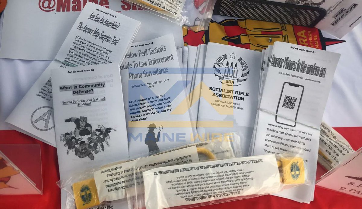 Sarah Gallagher tweet media